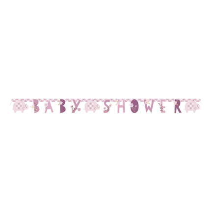 Guirlande de lettres de naissance Baby Shower Rose 1.65m