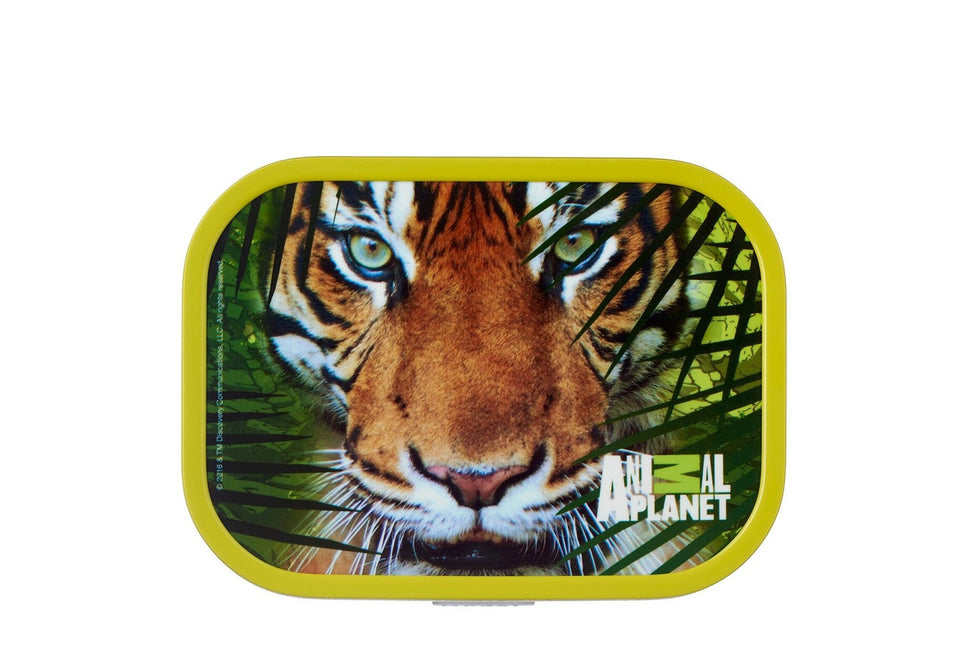 Boîte à lunch Campus Animal Planet Tiger