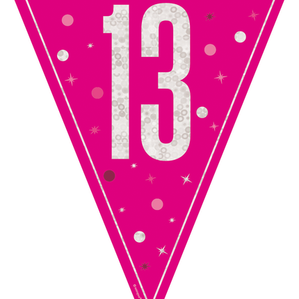13 ans Guirlande rose 2.5m