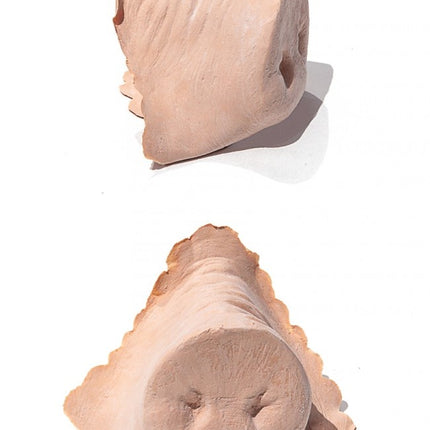 Nez de cochon en latex PXP