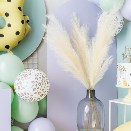 Fleurs sèches Pampas 1.1m