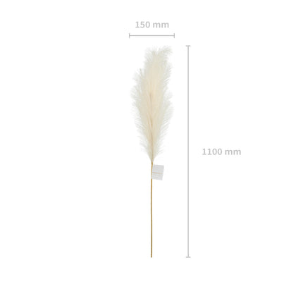 Fleurs sèches Pampas 1.1m
