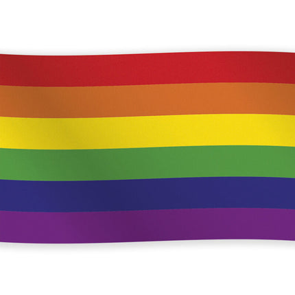 Drapeau de la fierté 1.5m