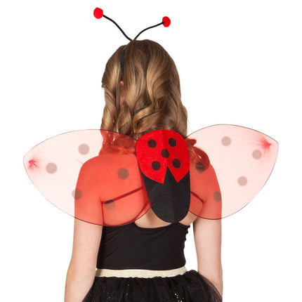 Ailes de coccinelle 2 pièces