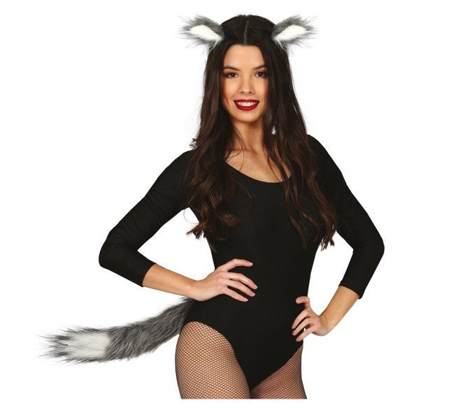 Ensemble d'accessoires Fox 2 pièces