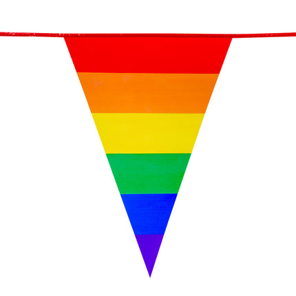 Guirlandes arc-en-ciel 8m