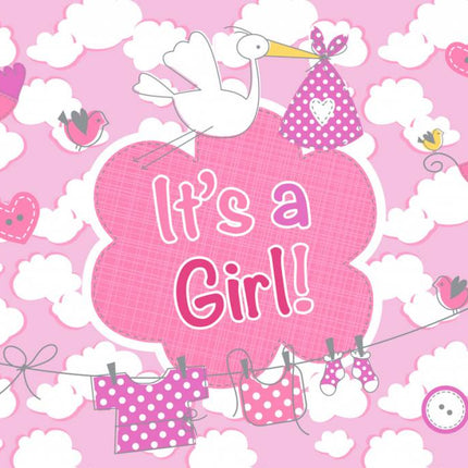 Geboorte Raamvlag Meisje 90cm van Folat koop je bij Partywinkel