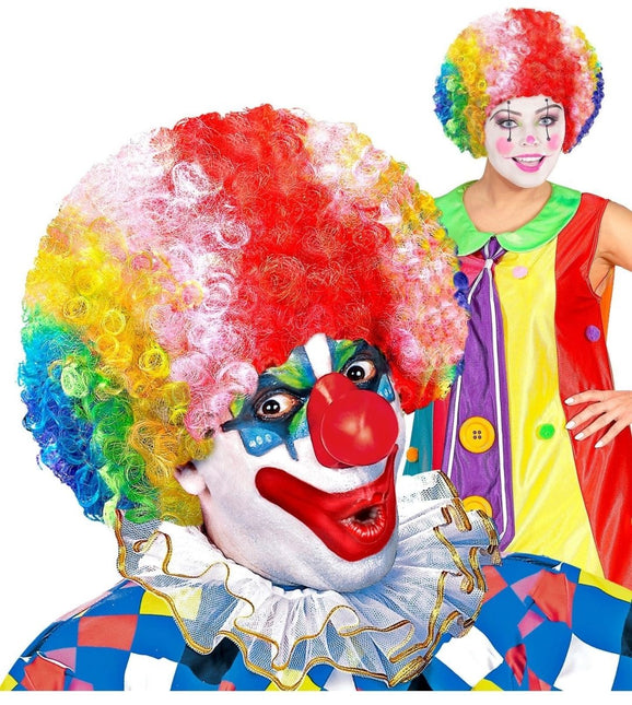 Gekleurde Pruik Clown van Widmann koop je bij Partywinkel
