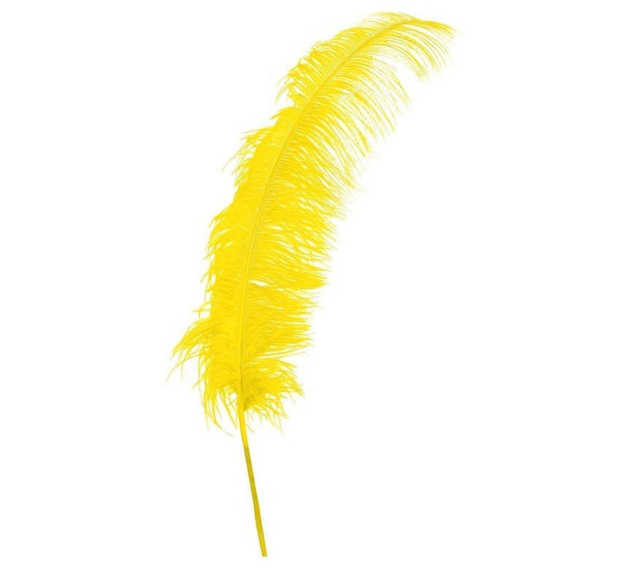Gele Struisvogelveren 50cm 12st van Fiestas Guirca koop je bij Partywinkel