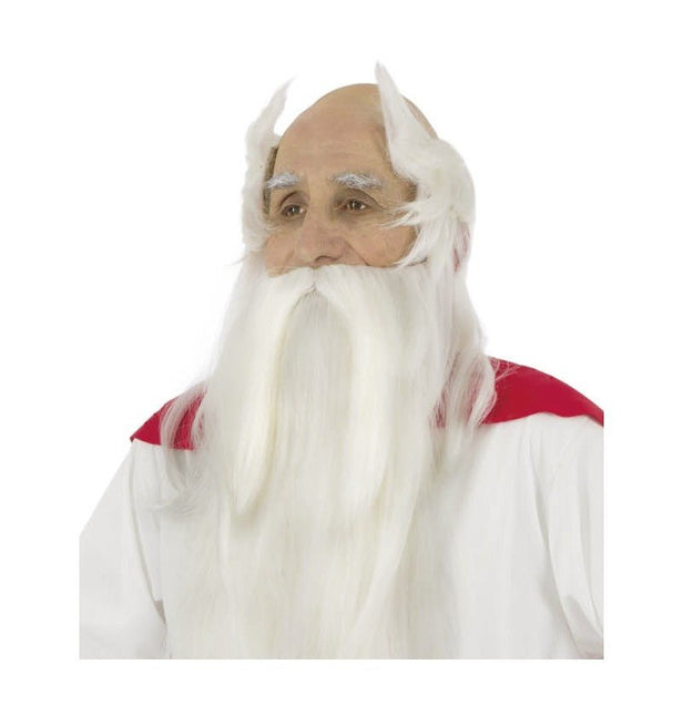 Getafix Asterix Baard en Pruik Set van CHAKS koop je bij Partywinkel