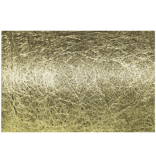 Ruban d'or Romance 10m