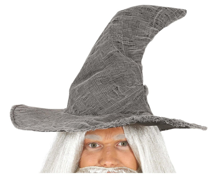 Grijze Hoed Tovenaar van Fiestas Guirca koop je bij Partywinkel