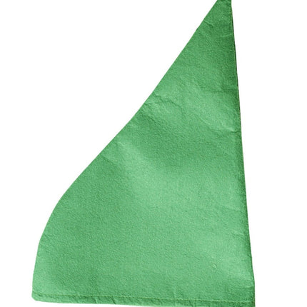 Groene Muts Kabouter van Widmann koop je bij Partywinkel