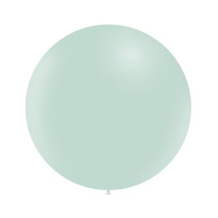 Groene Reuze Ballon Pastel 60cm van Balloonia koop je bij Partywinkel
