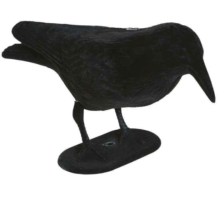 Halloween Decoratie Raaf 30cm - Partywinkel - 8434077190494