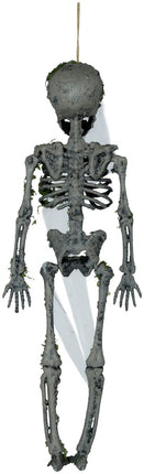 Halloween Hangdecoratie Skelet Met Mos 40cm van Fiestas Guirca koop je bij Partywinkel