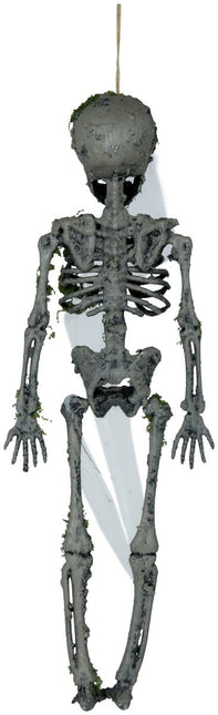 Halloween Hangdecoratie Skelet Met Mos 40cm van Fiestas Guirca koop je bij Partywinkel