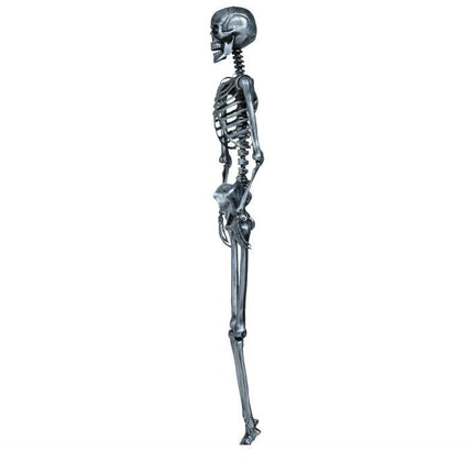 Halloween Hangdecoratie Zilver Skelet 1,6m - Partywinkel - 8434077249406
