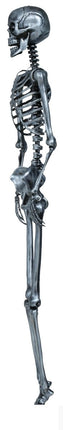 Halloween Hangdecoratie Zilver Skelet 90cm - Partywinkel - 8434077269640