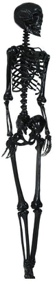 Halloween Hangdecoratie Zwart Skelet 90cm - Partywinkel - 8434077269626