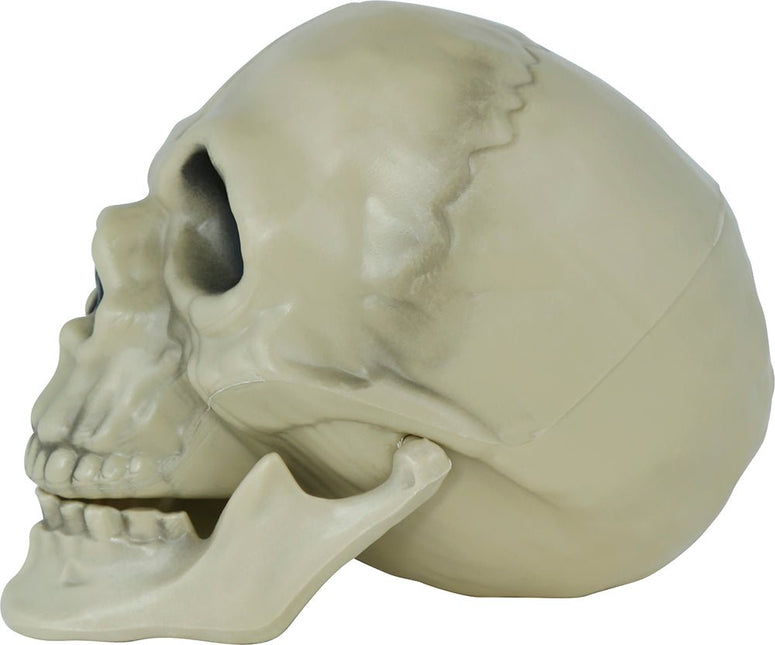 Halloween Schedel 13cm van Fiestas Guirca koop je bij Partywinkel