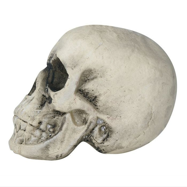 Halloween Schedel 22cm van Fiestas Guirca koop je bij Partywinkel