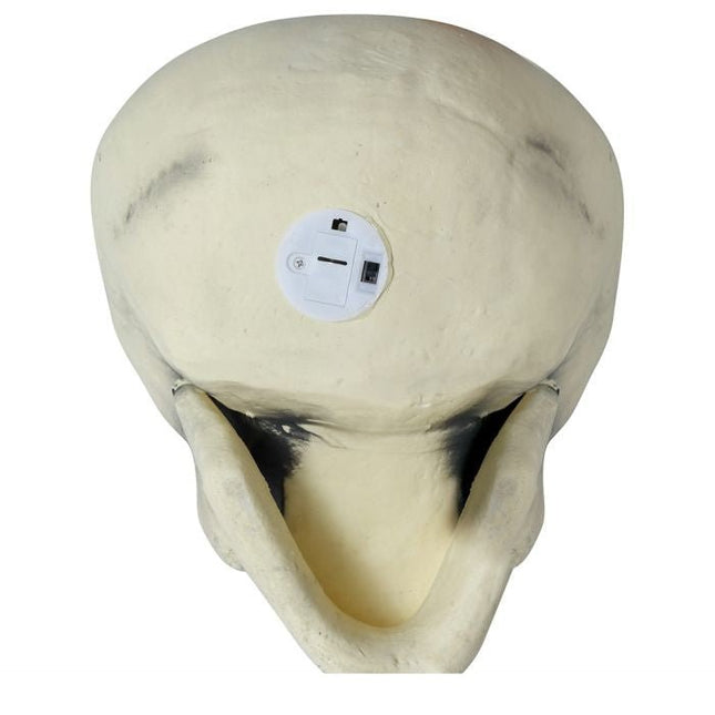 Halloween Schedel 32cm van Fiestas Guirca koop je bij Partywinkel