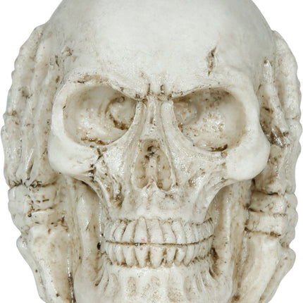 Halloween Schedel 6cm van Fiestas Guirca koop je bij Partywinkel