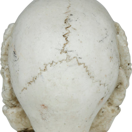 Halloween Schedel 6cm van Fiestas Guirca koop je bij Partywinkel