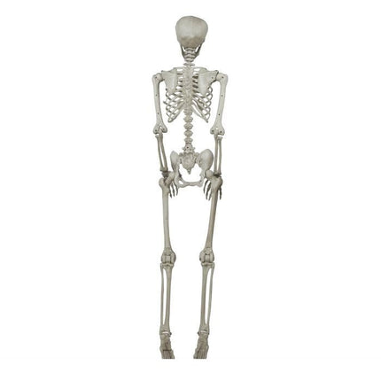 Halloween Skelet 1,6m van Fiestas Guirca koop je bij Partywinkel