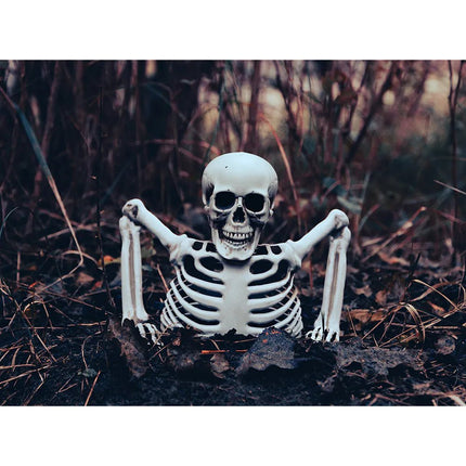 Halloween Skelet 20cm van Boland koop je bij Partywinkel