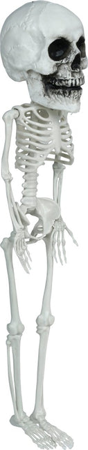 Halloween Skelet Hangend Groot Hoofd 40cm van Fiestas Guirca koop je bij Partywinkel
