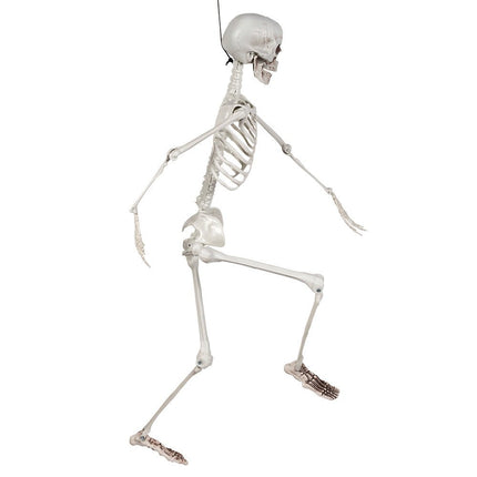 Halloween Skelet Wit 90cm van Boland koop je bij Partywinkel