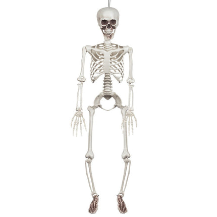 Halloween Skelet Wit 90cm van Boland koop je bij Partywinkel