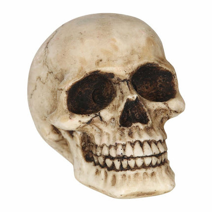 Halloween Tafeldecoratie Schedel 8cm van Fiestas Guirca koop je bij Partywinkel