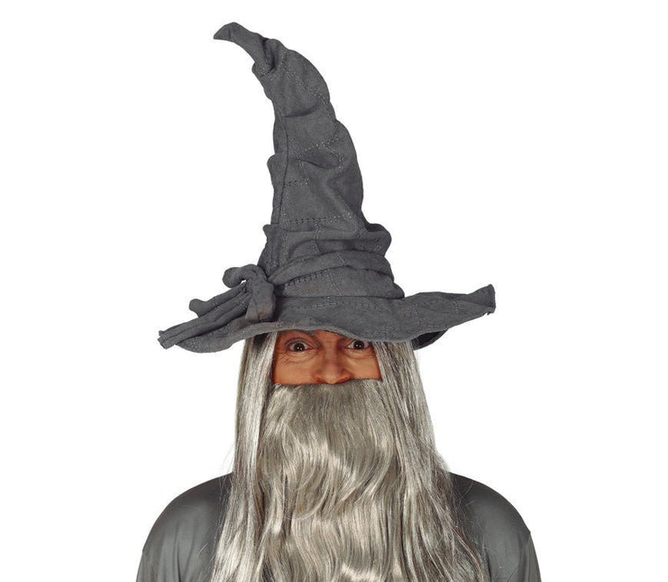 Halloween Tovenaarshoed Grijs van Fiestas Guirca koop je bij Partywinkel