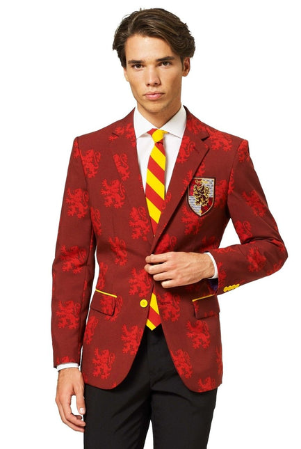 Harry Potter Pak Heren van OppoSuits koop je bij Partywinkel