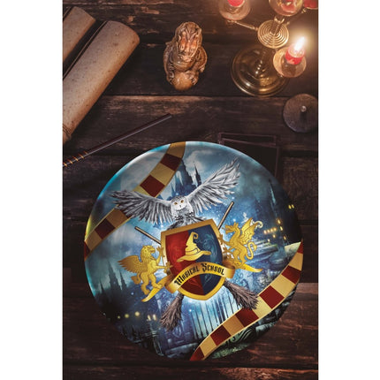 Harry Potter Schaal 27cm van Fiestas Guirca koop je bij Partywinkel