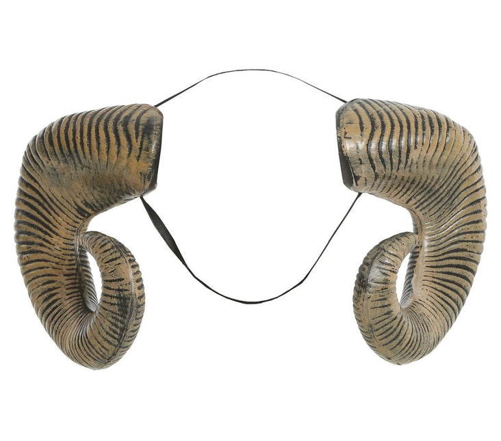 Hoorns van Fiestas Guirca koop je bij Partywinkel