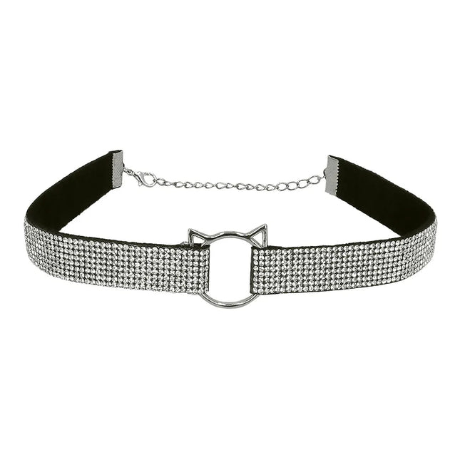 Kat Accessoireset Glitters 2 delig van Boland koop je bij Partywinkel