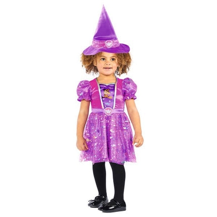 Kind Kostuum Paw Patrol Skye Witch van Riethmueller koop je bij Partywinkel