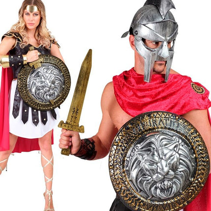 Leeuwenhart Schild en Zwaard van Widmann koop je bij Partywinkel