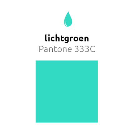 Lichtgroene Reuze Ballon 60cm van Balloonia koop je bij Partywinkel