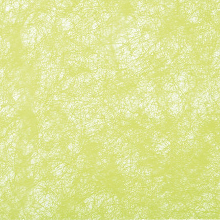 Ruban vert lime 10m