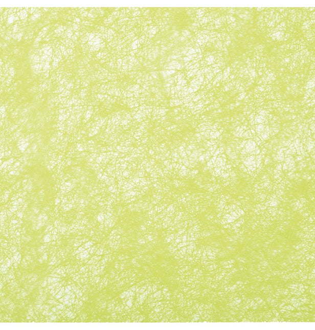 Ruban vert lime 10m