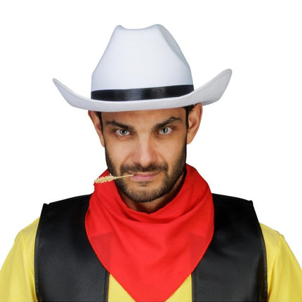 Chapeau de cowboy Lucky Luke blanc, taille unique