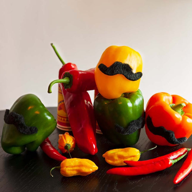 Mexicaanse Snorren Fiesta set 5 delig van Boland koop je bij Partywinkel