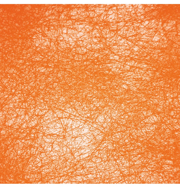 Ruban Orange Romance 10m