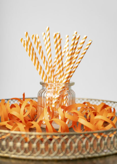 Papieren Rietjes Oranje Gestreept 19,7cm 20st van WeFiesta koop je bij Partywinkel