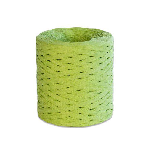 Ruban de papier vert (200m)